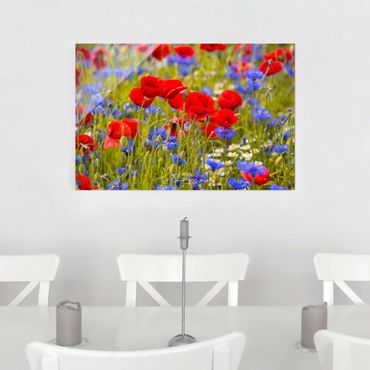 Quadros em vidro Summer Meadow With Poppies And Cornflowers