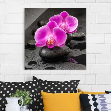 Quadros em vidro Pink Orchid Flower On Stones With Drops