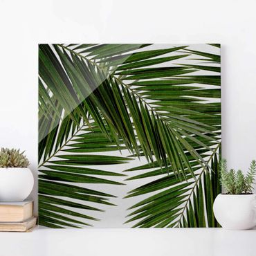 Quadros em vidro View Through Green Palm Leaves