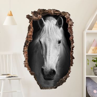 Autocolantes de parede Dream of a horse