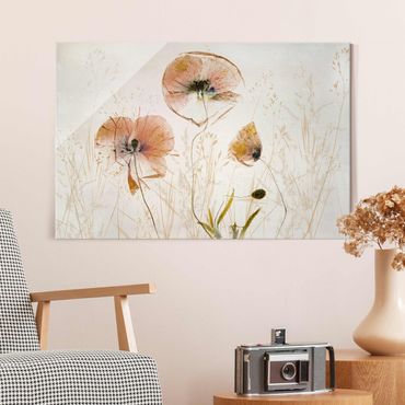 Quadros em vidro Dried Poppy Flowers With Delicate Grasses