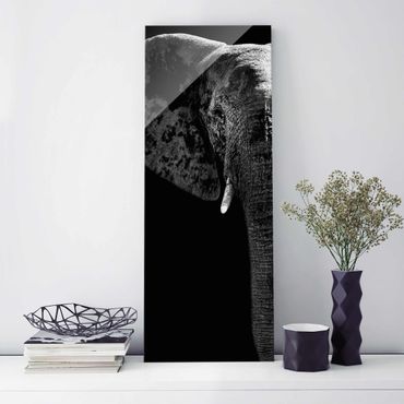 Quadros em vidro African Elephant black & white