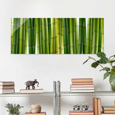 Quadros em vidro Bamboo Plants