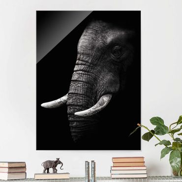 Quadros em vidro Dark Elephant Portrait