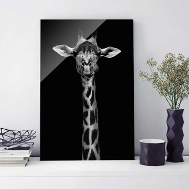 Quadros em vidro Dark Giraffe Portrait