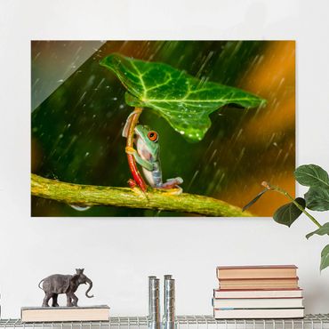 Quadros em vidro Frog In The Rain