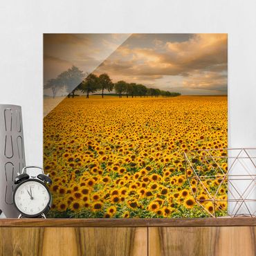 Quadros em vidro Field With Sunflowers