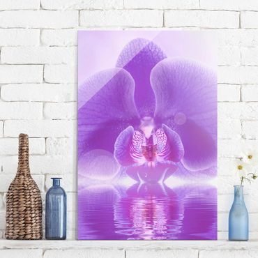 Quadros em vidro Purple Orchid On Water