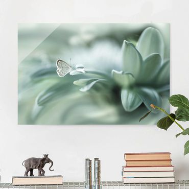 Quadros em vidro Butterfly And Dew Drops In Pastel Green