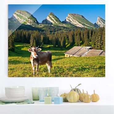 Quadros em vidro Swiss Alpine Meadow With Cow
