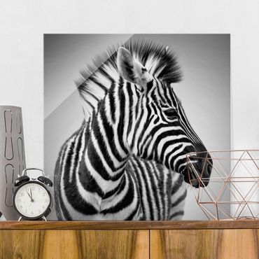 Quadros em vidro Zebra Baby Portrait II
