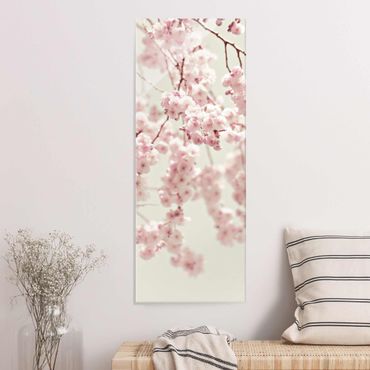 Quadros em vidro Dancing Cherry Blossoms
