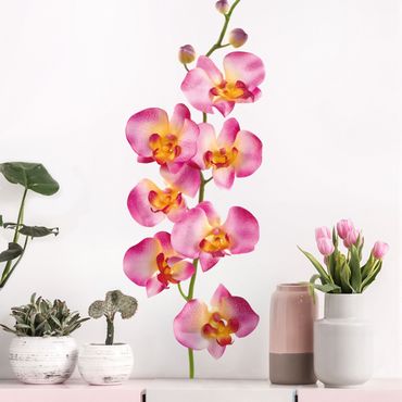 Autocolantes de parede No.177 Orchid Rose II