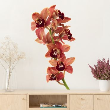 Autocolantes de parede No.180 Orchid White Red II