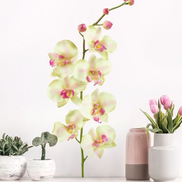 Autocolantes de parede No.190 Orchid White II