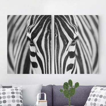 Telas decorativas 2 partes Zebra Look