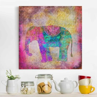 Telas decorativas Colourful Collage - Indian Elephant