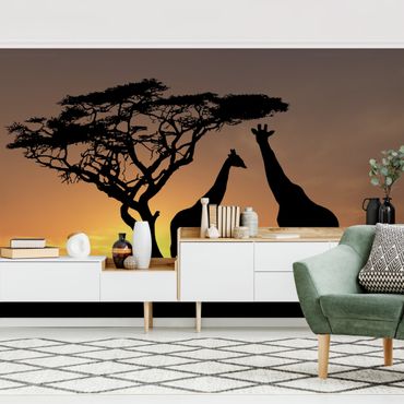 Mural de parede African Sunset