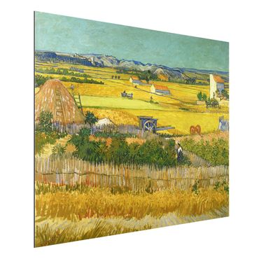Quadros em alumínio Dibond Vincent Van Gogh - The Harvest