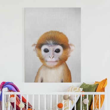 Telas decorativas Baby Monkey Anton