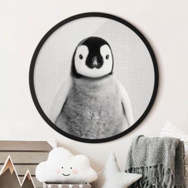 Quadros com moldura Baby Penguin Pepe Black And White