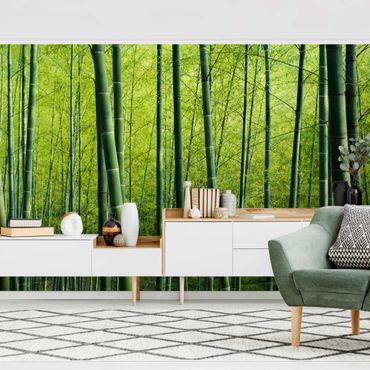 Mural de parede Bamboo Forest