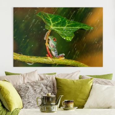 Telas decorativas Frog In The Rain