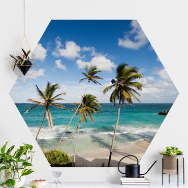 Papel de parede hexagonal Beach Of Barbados