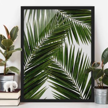 Quadros com moldura View Through Green Palm Leaves