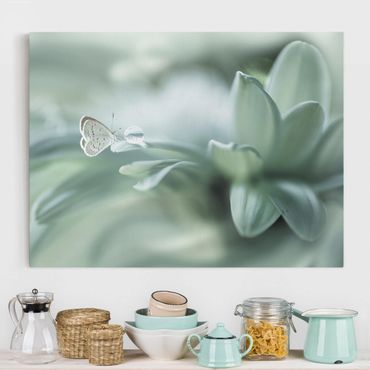 Telas decorativas Butterfly And Dew Drops In Pastel Green