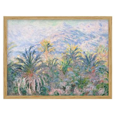 Quadros com moldura Claude Monet - Palm Trees at Bordighera