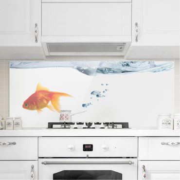 Painel anti-salpicos de cozinha Goldfish