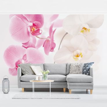 Mural de parede Delicate Orchids