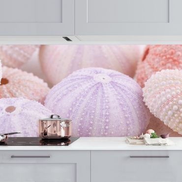 Backsplash de cozinha Sea Urchin In Pastel