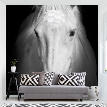 Mural de parede Dream Of A Horse