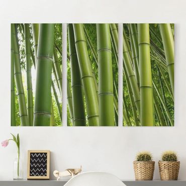 Telas decorativas 3 partes Bamboo Trees