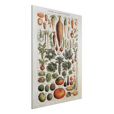 Quadros em alumínio Dibond Vintage Board Vegetables
