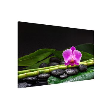 Quadros magnéticos Green Bamboo With Orchid Flower