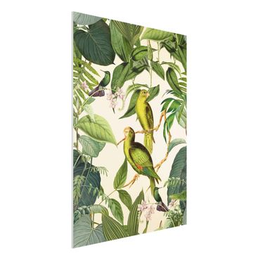 Quadros forex Vintage Collage - Parrots In The Jungle