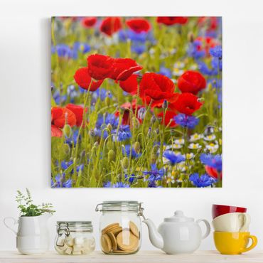 Telas decorativas Summer Meadow With Poppies And Cornflowers
