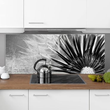 Painel anti-salpicos de cozinha Dandelion Black & White