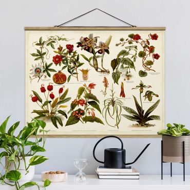 Quadros em tecido Vintage Board Tropical Botany II