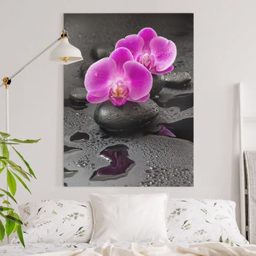 Telas decorativas Pink Orchid Flower On Stones With Drops