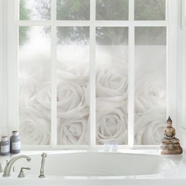 Péliculas para janelas White Roses