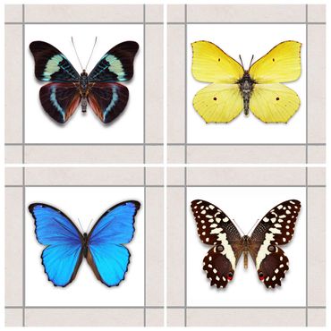 Autocolantes para azulejos Elegant Butterfly Set
