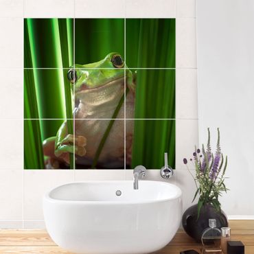 Películas para azulejos Merry Frog