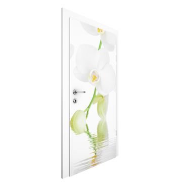 Papel de parede para porta Spa Orchid - White Orchid