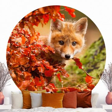 Papel de parede redondo Fox In Autumn