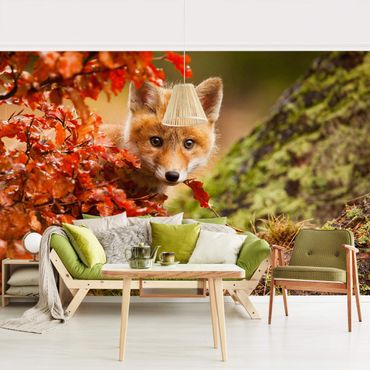 Mural de parede Fox In Autumn