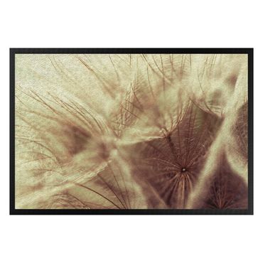 Tapetes de entrada Detailed Dandelion Macro Shot With Vintage Blur Effect